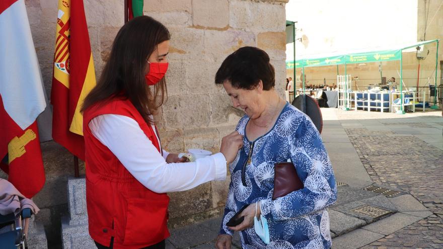 El bizum sustituye a la hucha: así ha cambiado el Día de la Banderita de Cruz Roja en Zamora