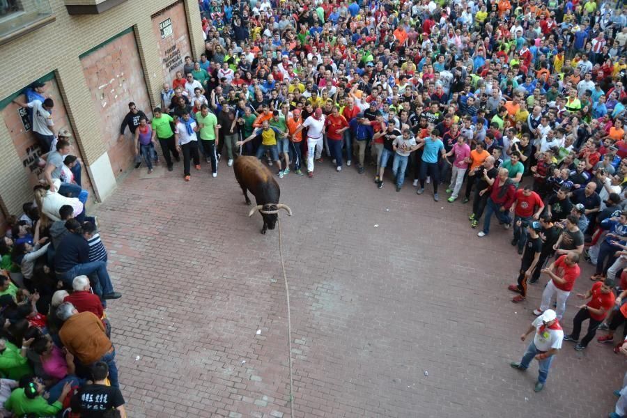 Carrera del Enmaromado 2016