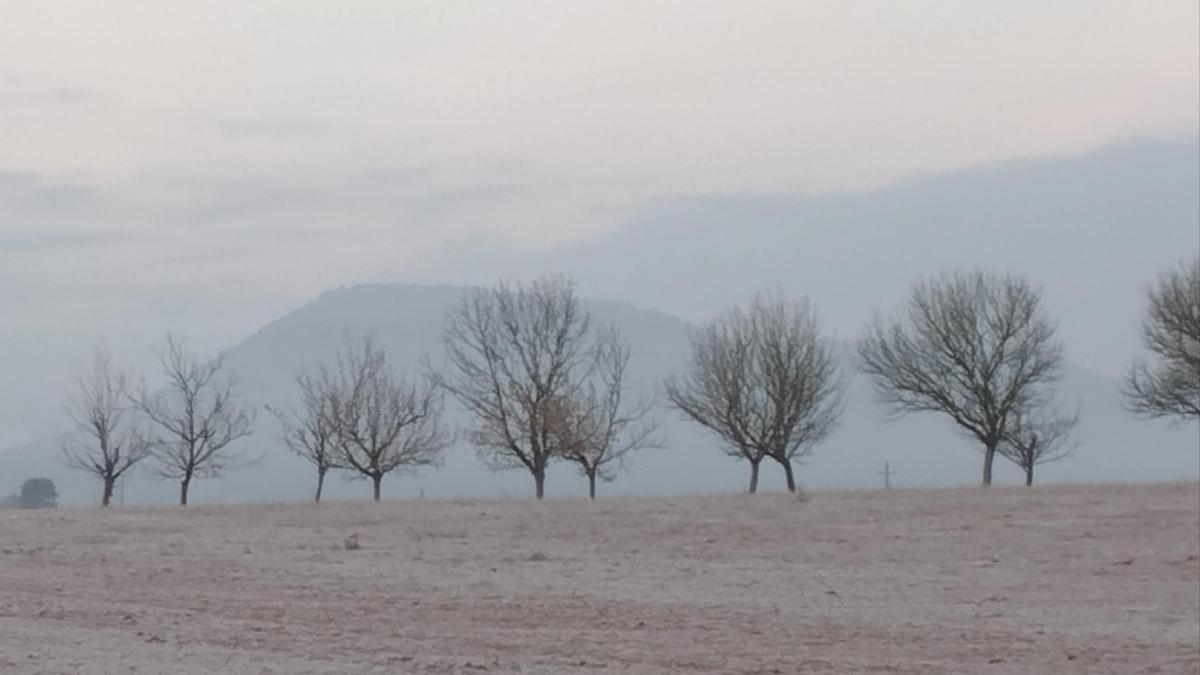 Matí de gebrada al Bages.