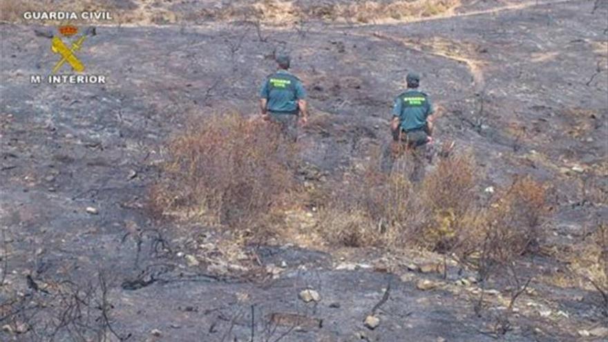 La Guardia Civil detiene al presunto autor de cinco incendios forestales en Pozuelo de Zarzón