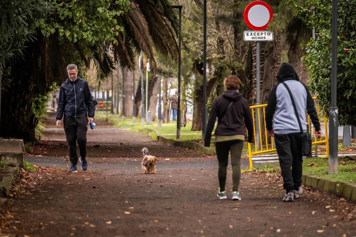 Unas personas pasean por el Camino de las Peras.