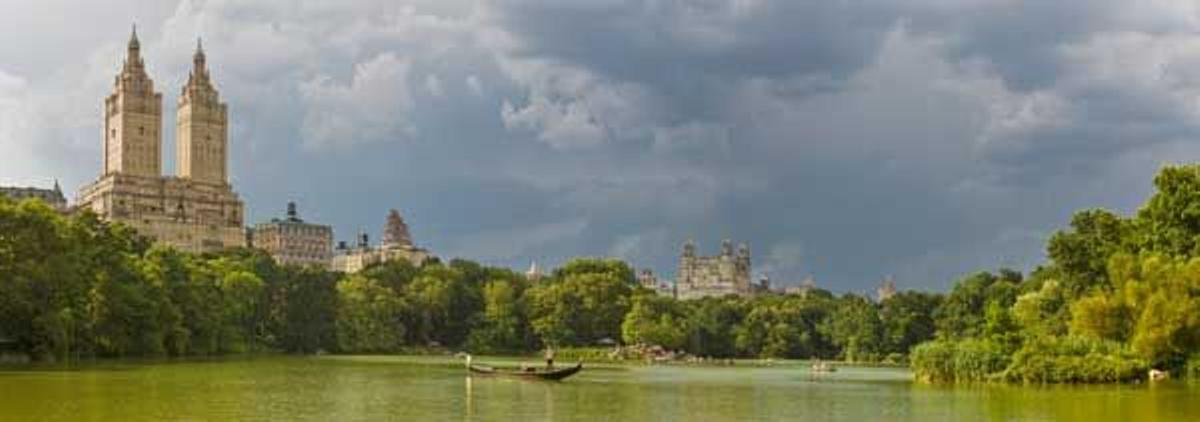 El guardián entre el centeno