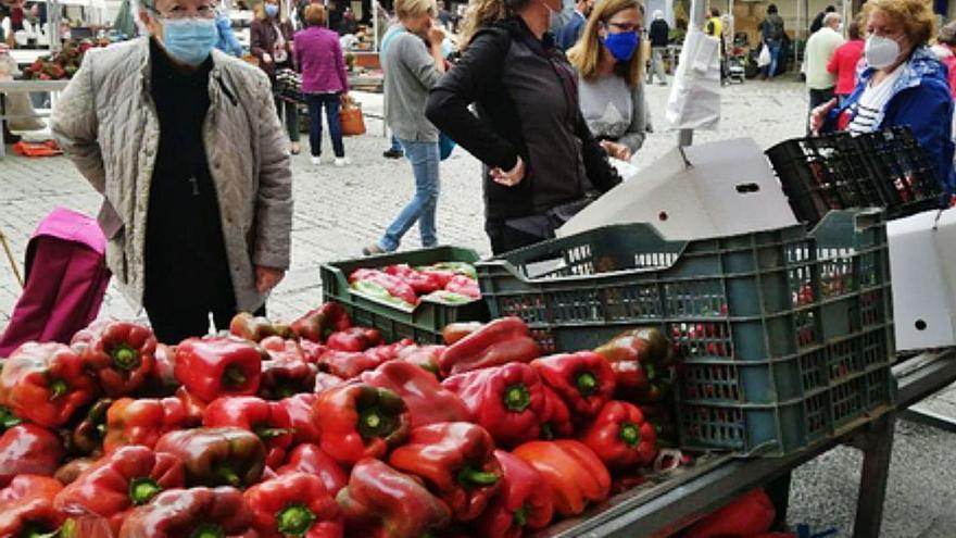 La huerta y la artesanía renacen juntas