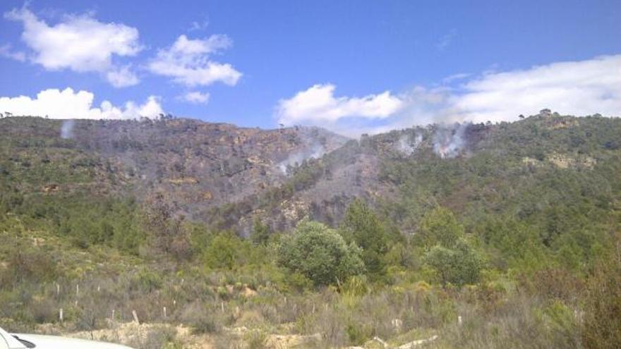 Vita panorámica de la zona afectada por el incendio.