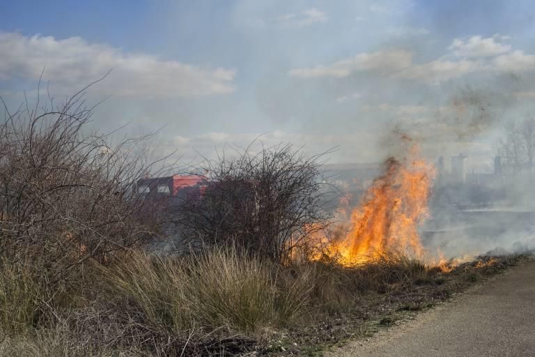 Incendio en los aledaños de El Ermitaño