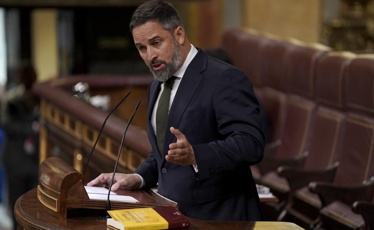 Santiago Abascal, en el estrado del Congreso. José Luis Roca