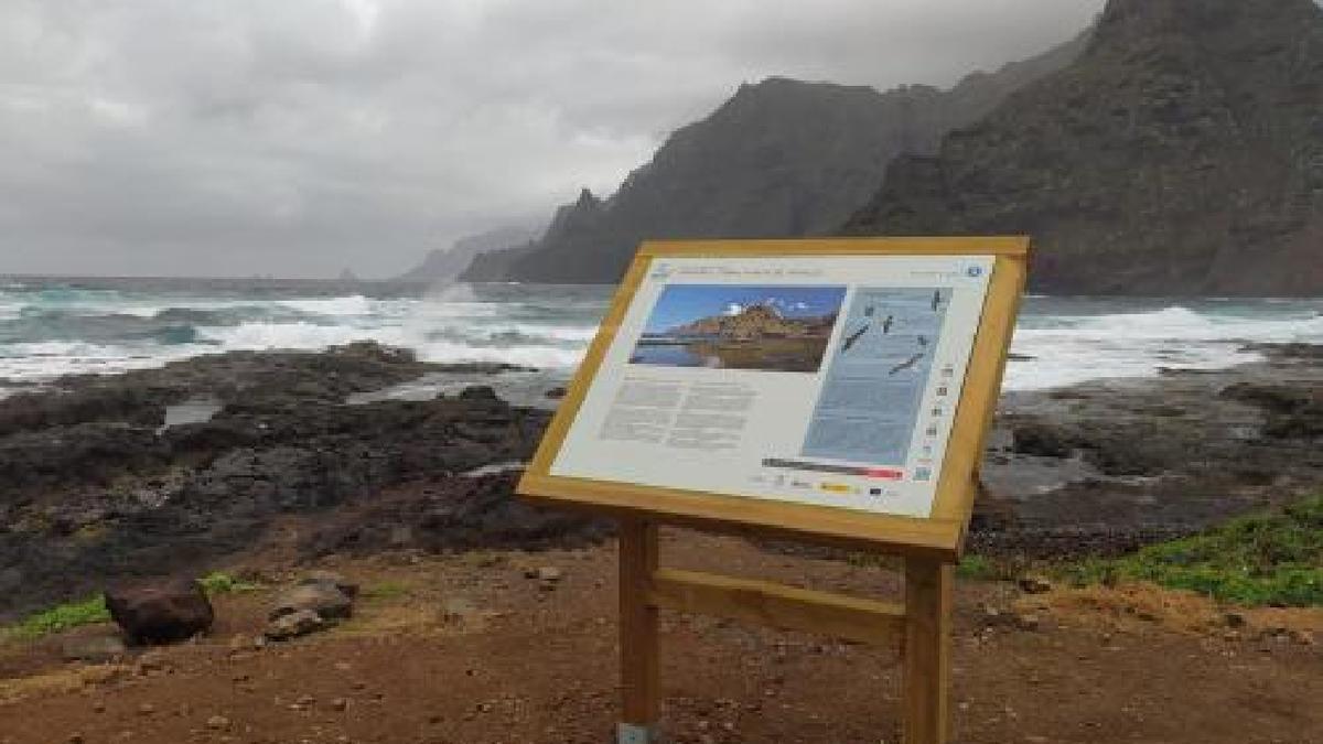 Sendero litoral de La Punta del Hidalgo.