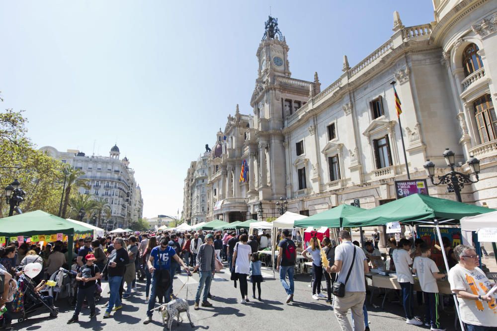 Trobada d'Escoles en Valencià en la plaza del Ayuntamiento