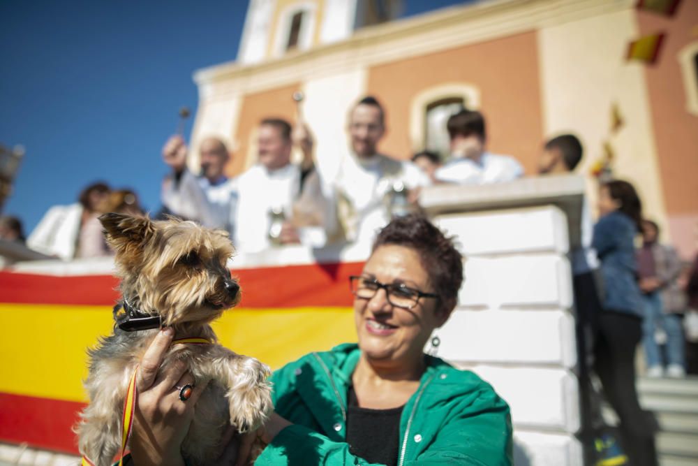 Cartagena celebra San Antón