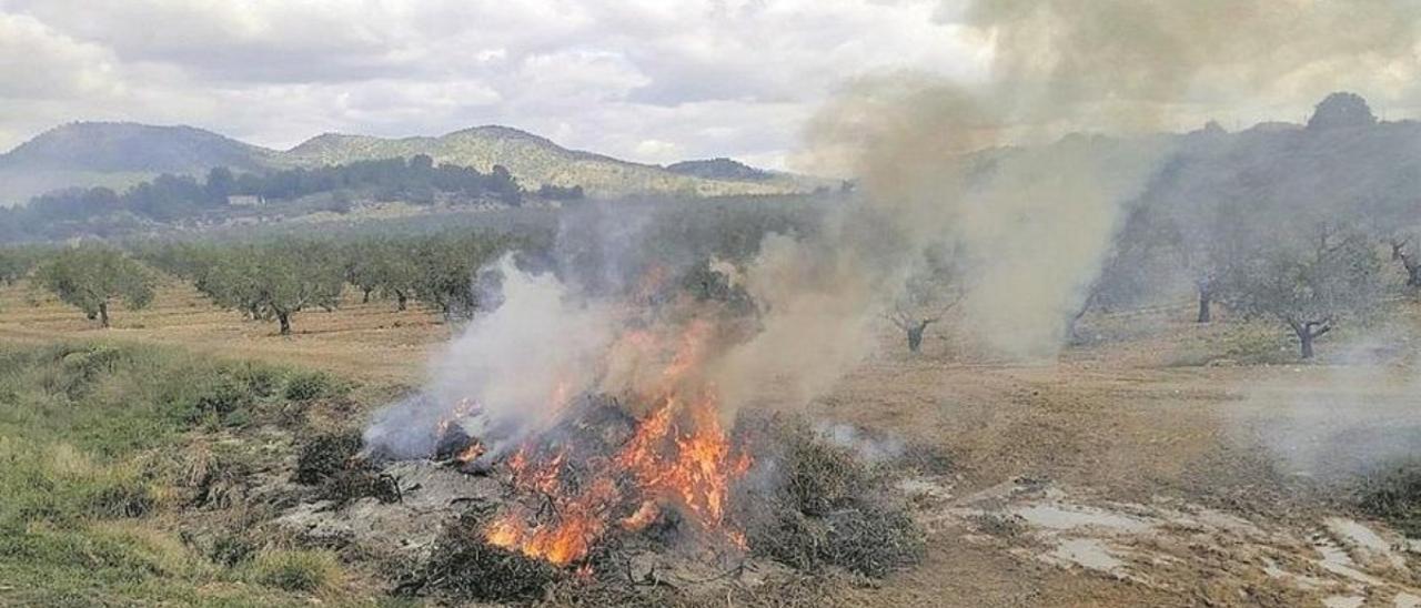 Quema agrícola.