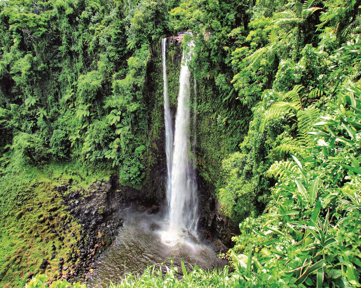 Cascada Fuipisia en Upolu, isla de Samoa.