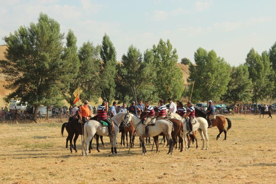 Fiestas en Zamora: Encierro y toros en Villamor