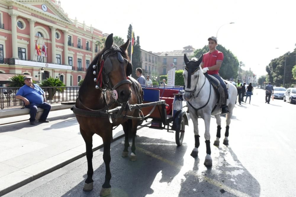 Ruta en carro al corazón de la Huerta