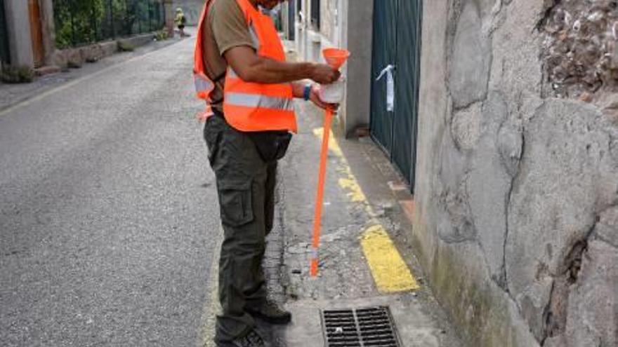 Un tècnic realitza un control de mosquit tigre, en imatge d&#039;arxiu.