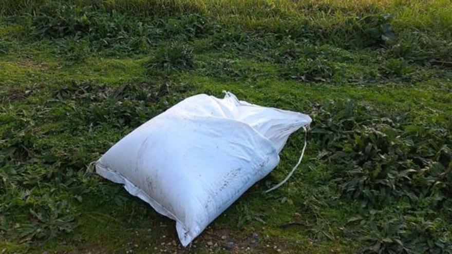 El saco fue recogido en una de las playas de Niño do Corvo, en A Illa.