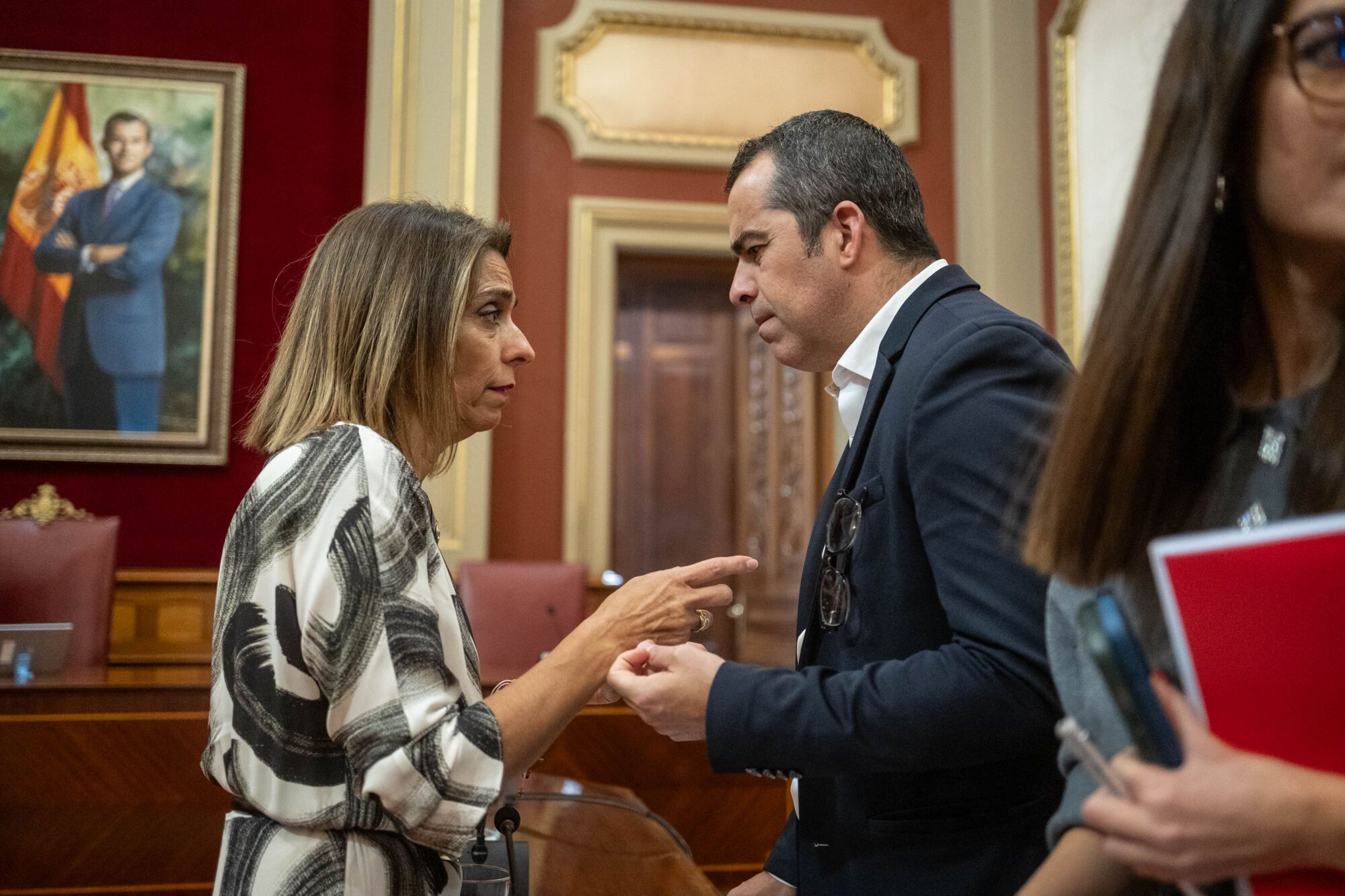 Pleno del Ayuntamiento de Santa Cruz