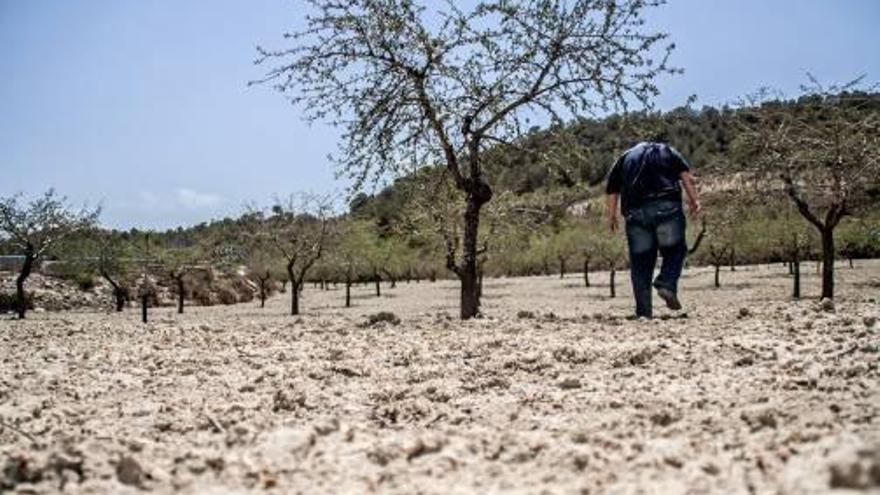 El Júcar decreta la emergencia por la sequía y aboca al campo a restricciones este verano