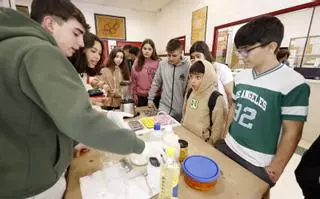 La ecología salta a la palestra escolar