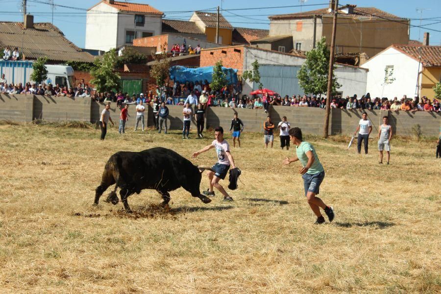 Espantes en Guarrate (II)