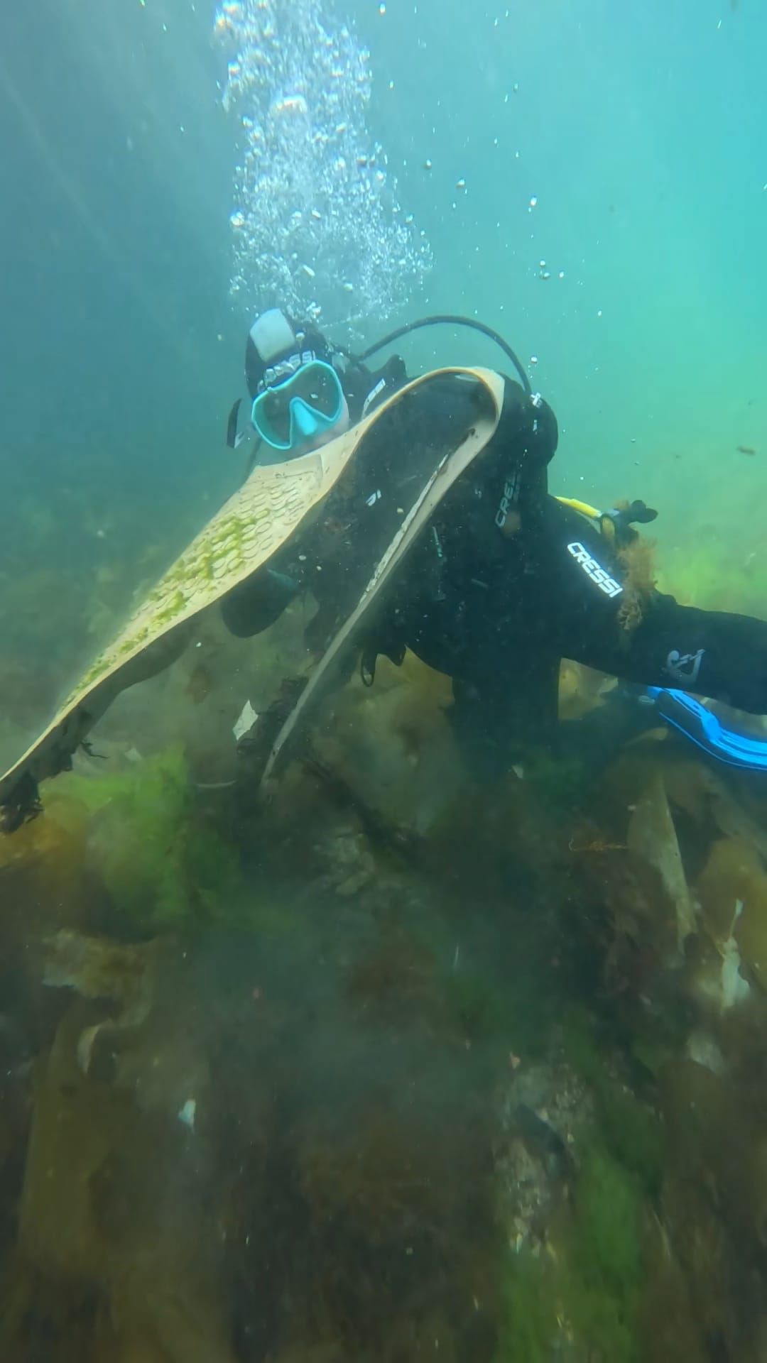 "Recuperación do Morrazo Somerxido", una iniciativa del Centro de Buceo Rías Baixas