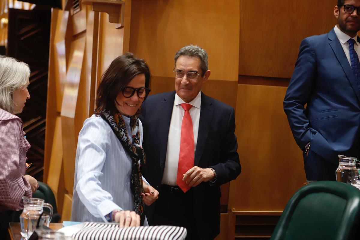 Pleno en el Ayuntamiento de Zaragoza, este jueves.