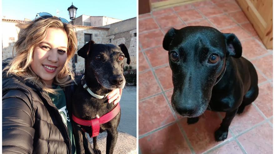 Indignación en Villaralbo por la muerte de una perra de un disparo: “Queremos saber quién ha sido el desgraciado”