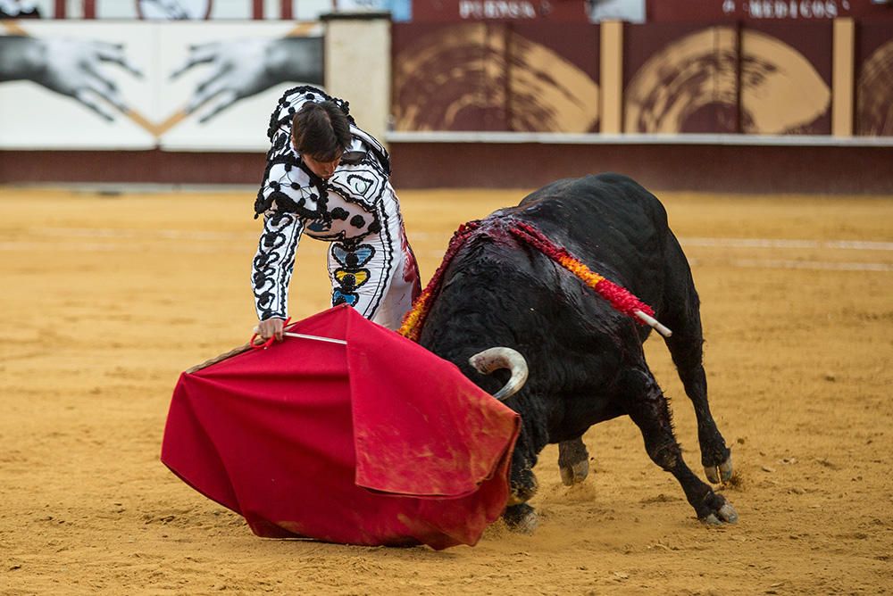 Toros | Corrida Picassiana de la Feria de Málaga