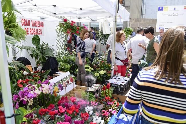 Ultimo dia de la Feria Enorte, Feria Empresarial ...