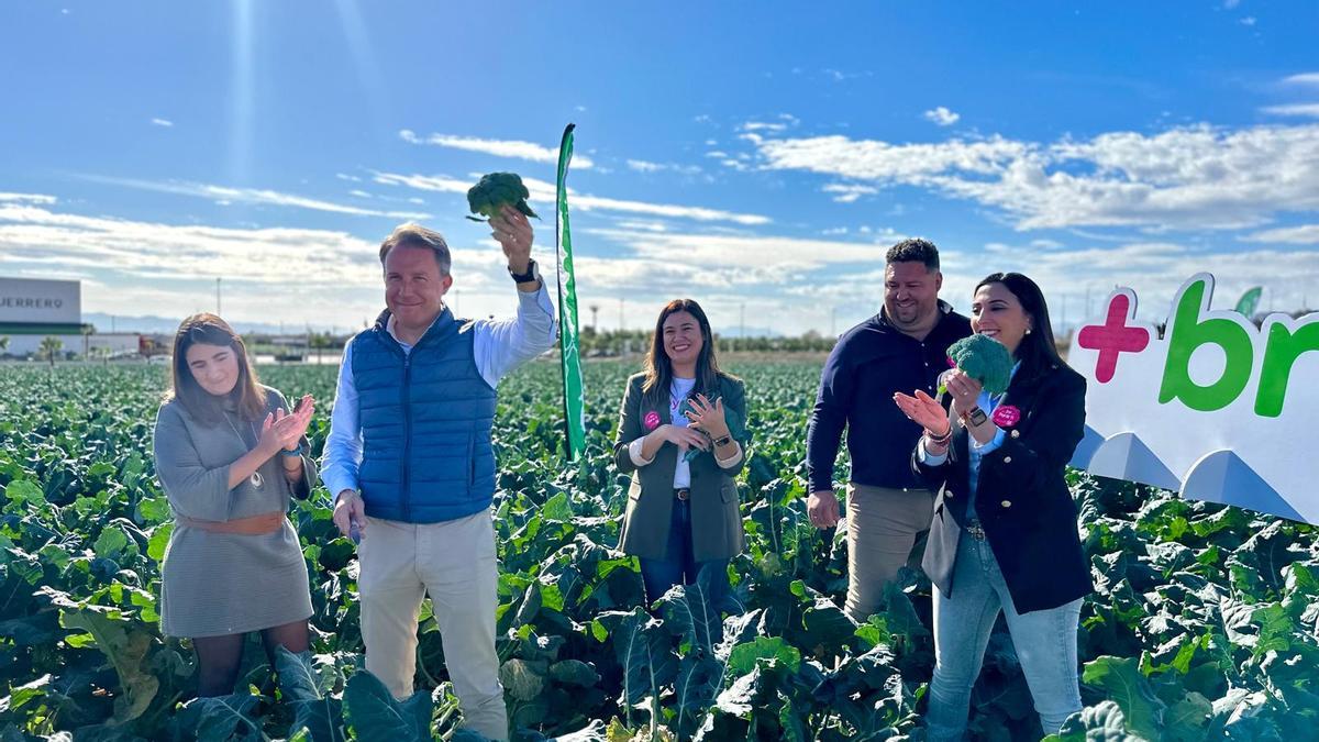 Rubira y Gil Jódar cosechaban varias pellas de brócoli.