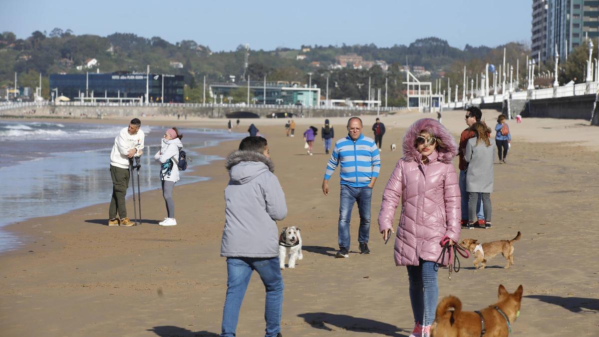 La playa de San Lorenzo, con perros.