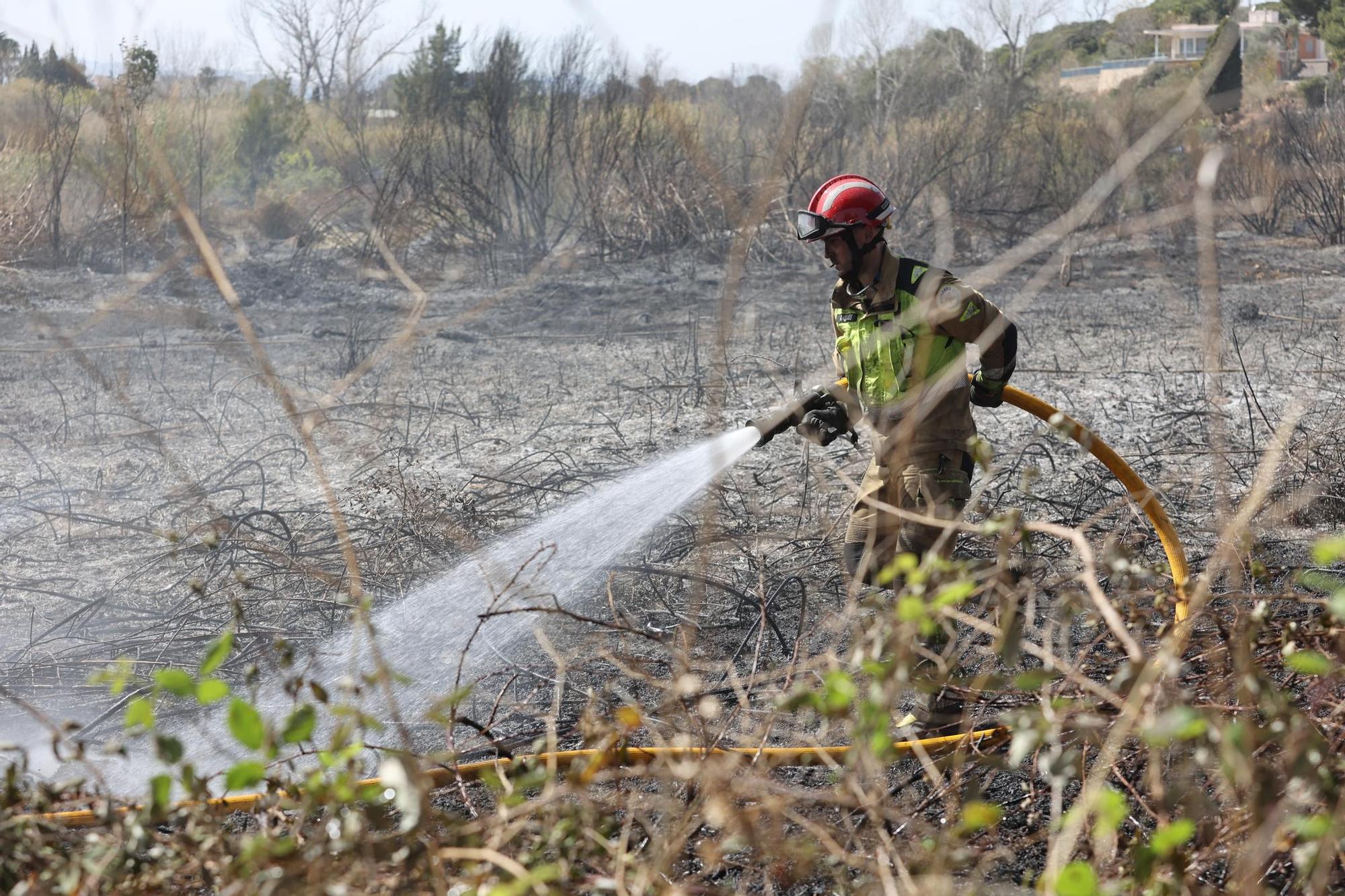 Galería de fotos del incendio forestal en el río Millars entre Vila-real y Almassora