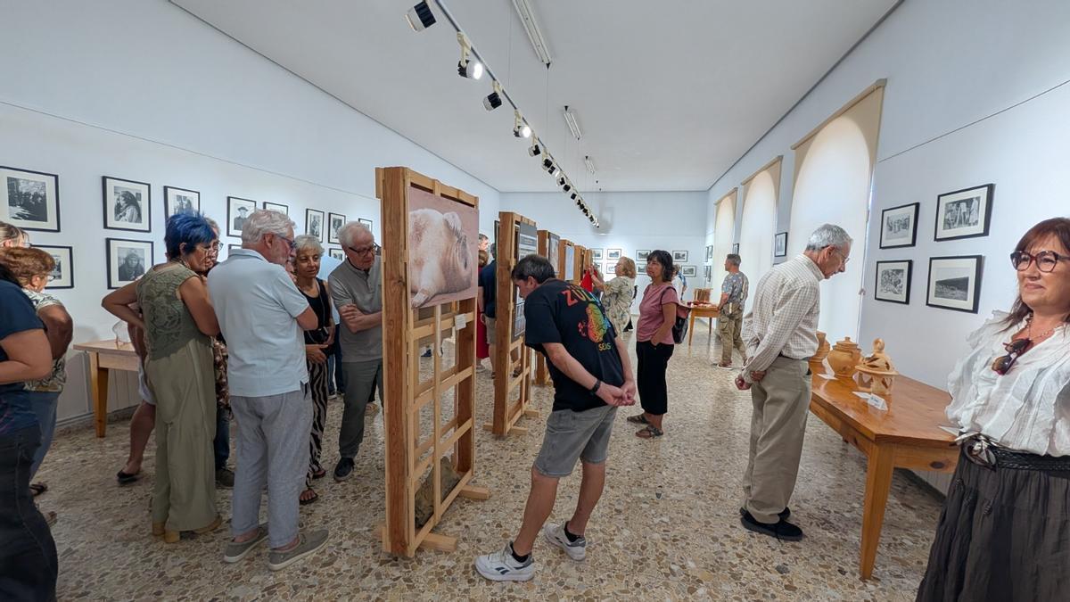 Sejas de Aliste, capital del arte