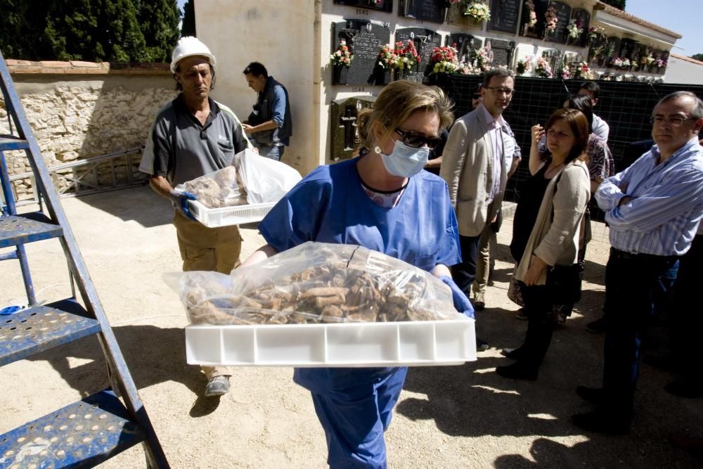 Exhumación fusilados de la guerra civil en el cementerio de Ontinyent