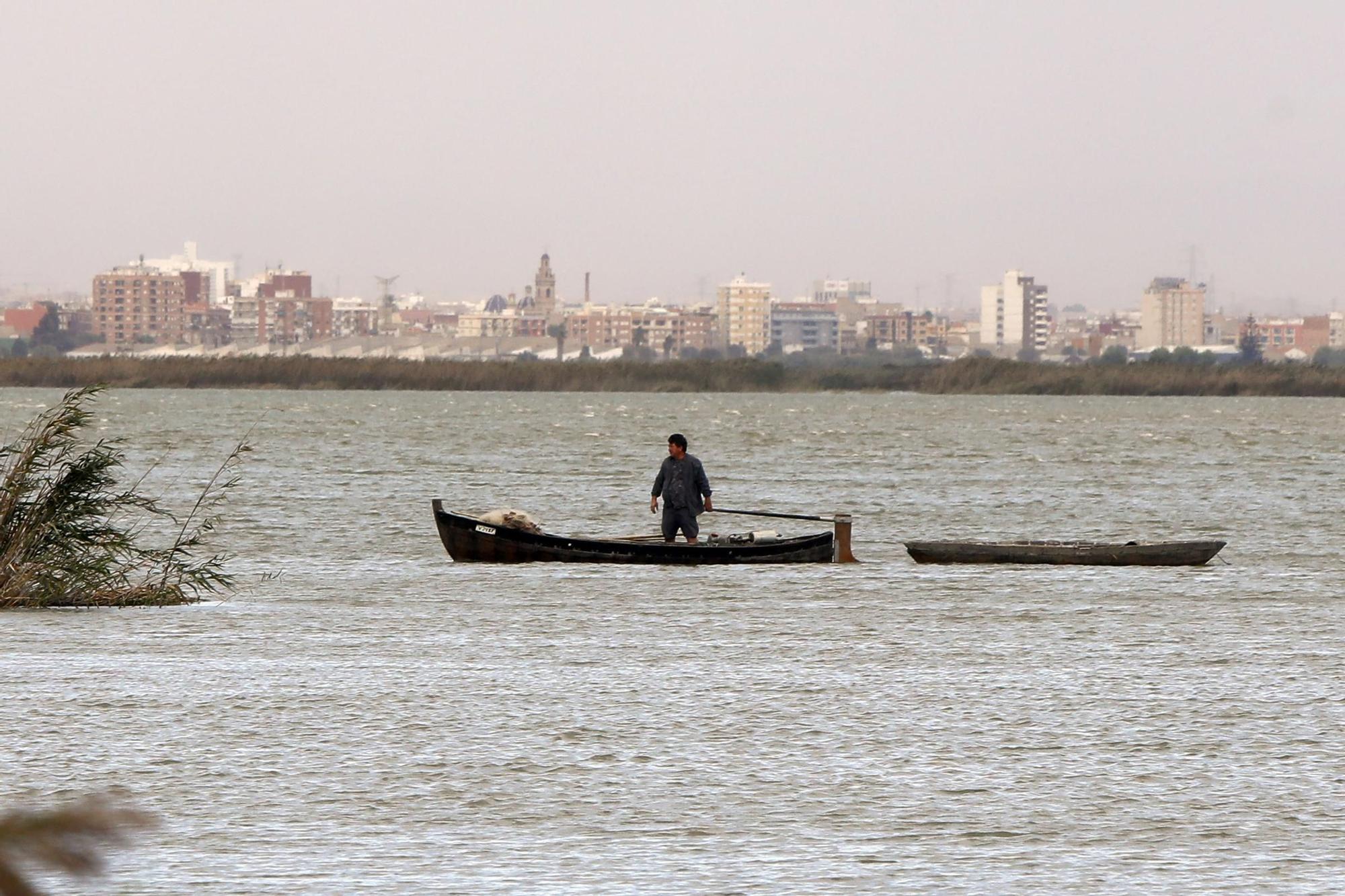 Las mejores imágenes de l'Albufera en el Día Mundial de los Humedales