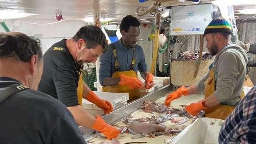 Tripulantes del &quot;Ría de Marín&quot; trabajando esta semana. // FdV