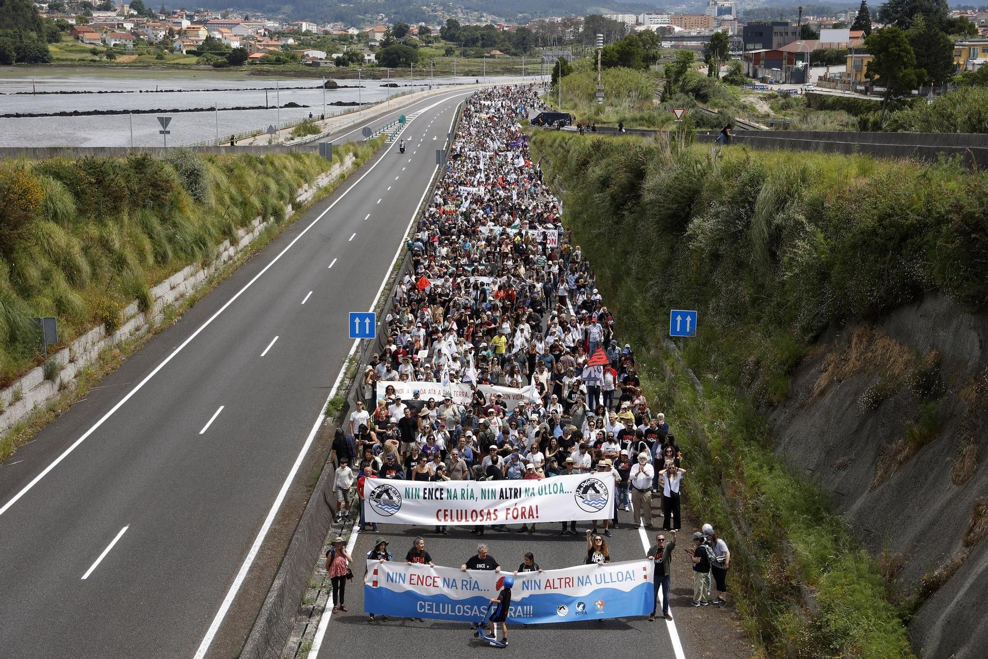 Miles de gallegos marchan de Pontevedra hasta Lourizán en protesta por las celulosas de Ence y Altri