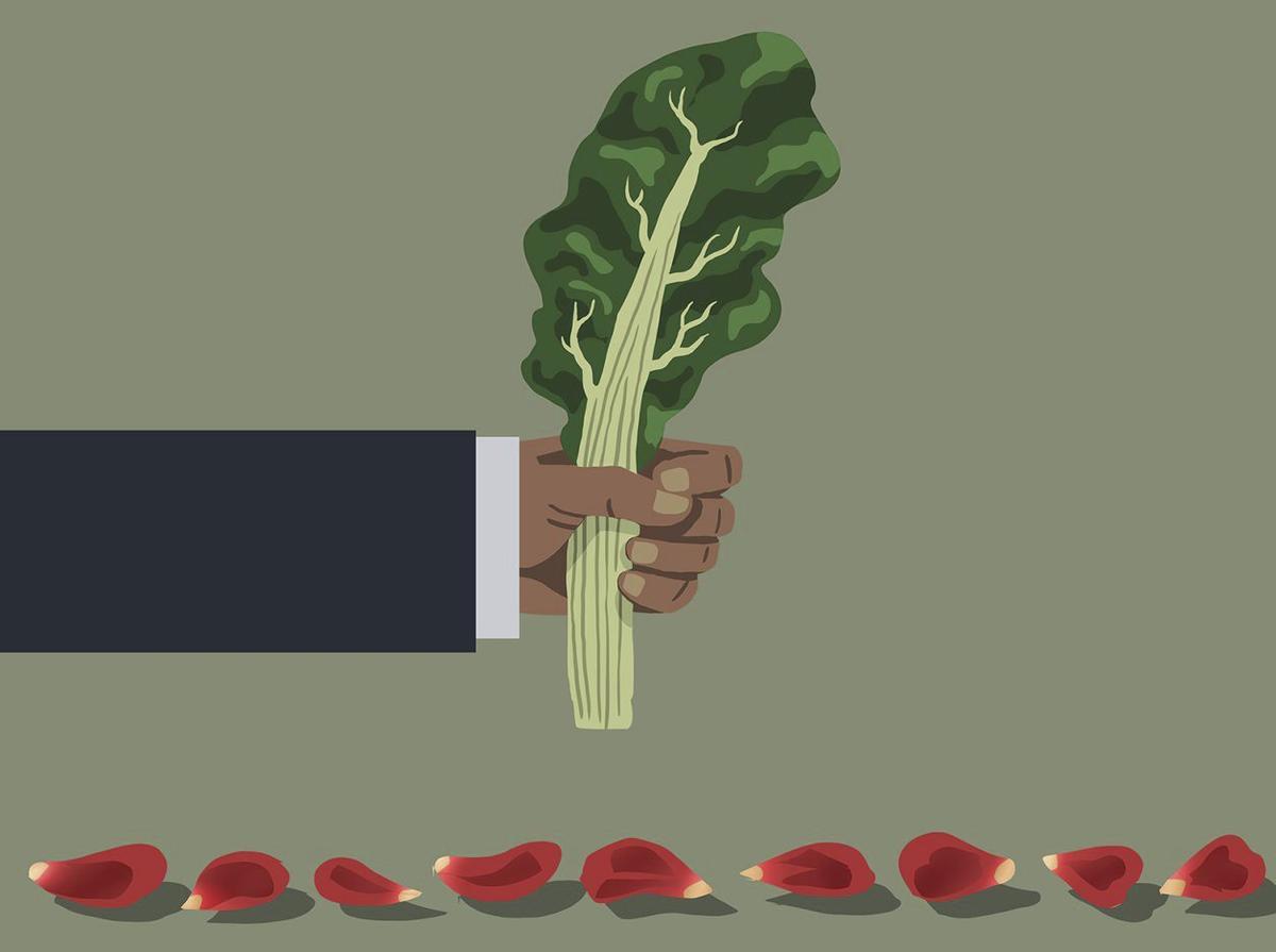 Dieta socialdemòcrata de bledes
