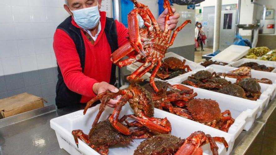 Centollo subastado en la lonja de Cambados, a  la venta en la plaza de Vilagarcía.