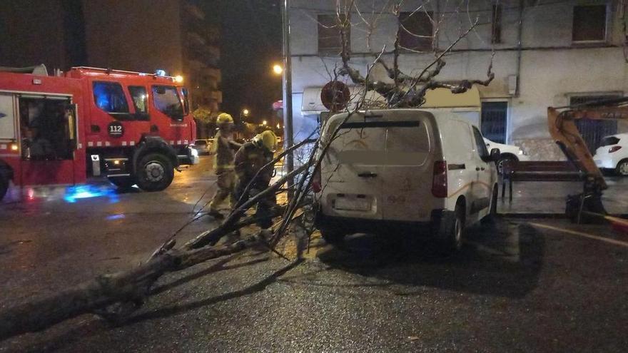 Un arbre ha impactat de matinada contra una furgoneta aparcada a Figueres.