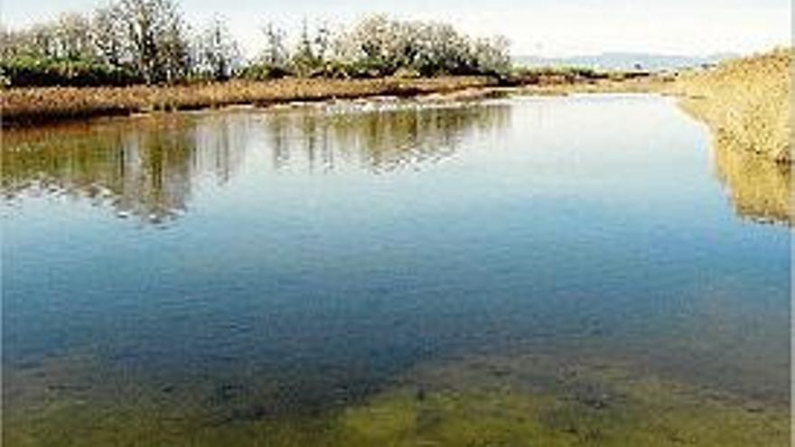 Imatge de la llacuna del delta de la Tordera al seu pas per Blanes.