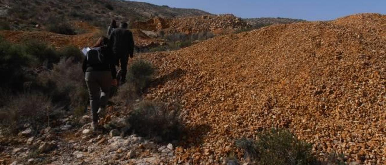 Mutxamel pedirá al Consell que actúe contra la procesionaria en la zona del Bec de l&#039;Aguila