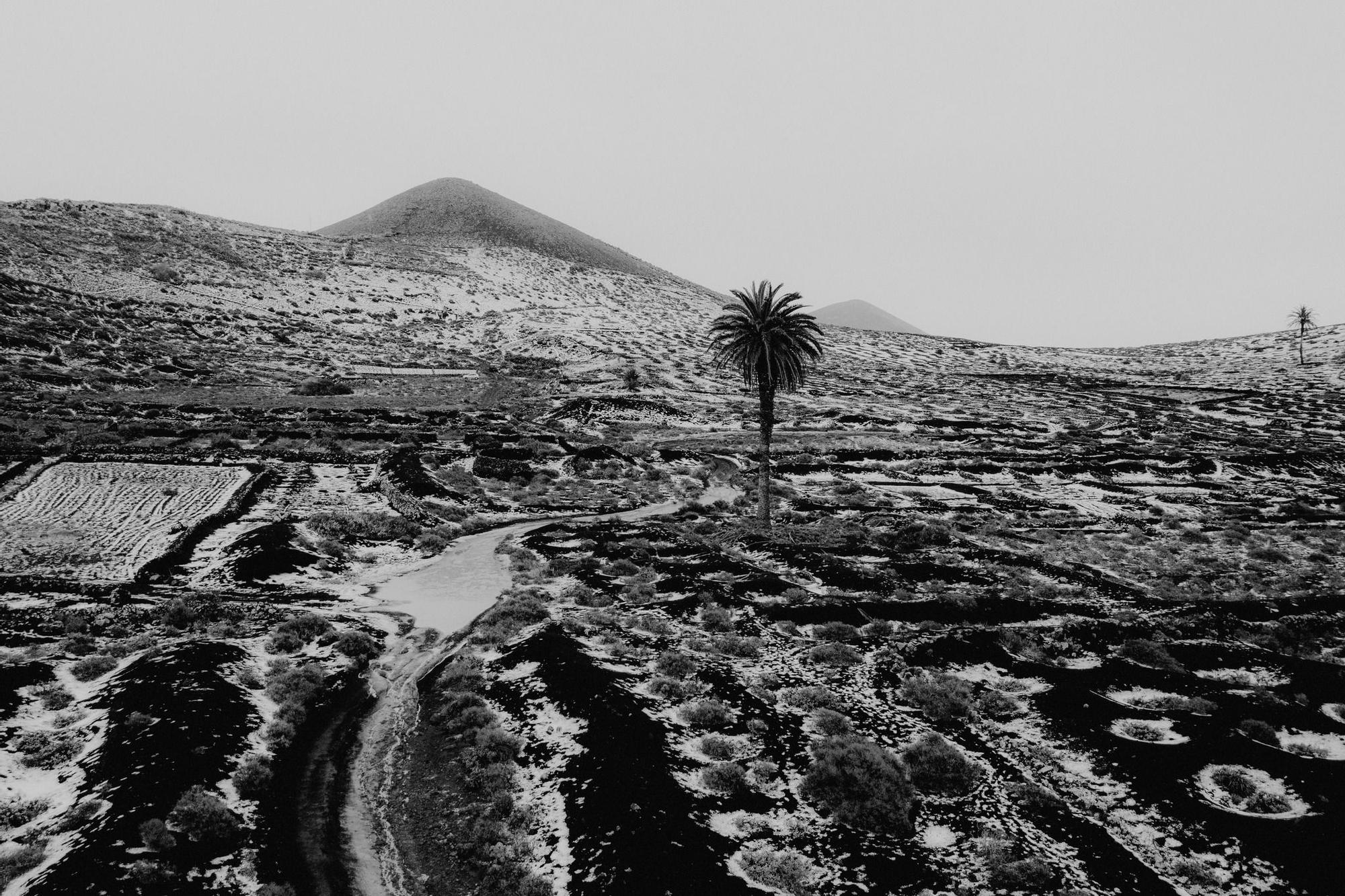 Granizada en La Geria (04/02/2023)