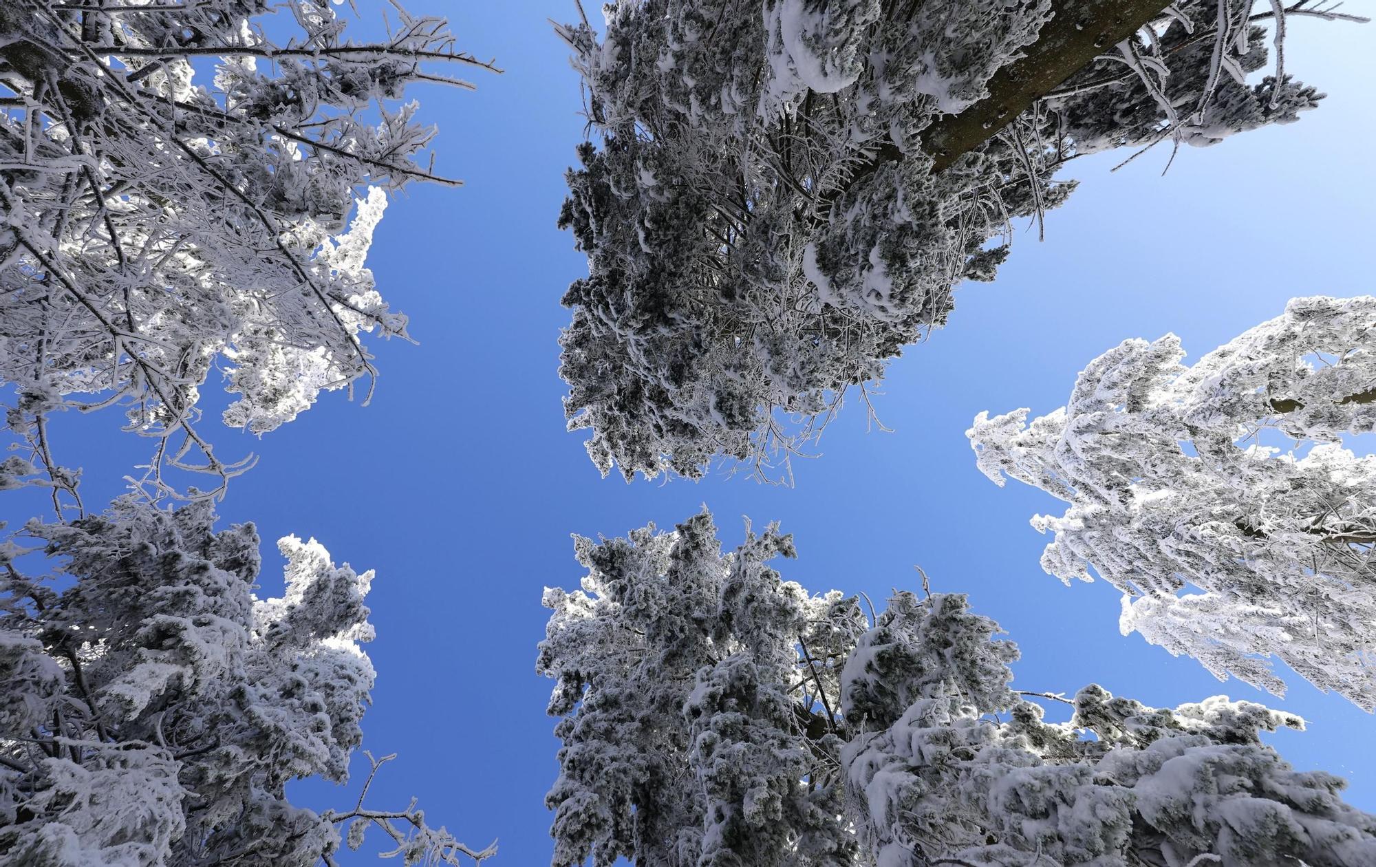 FOTOS | Grandes nevadas en Alemania