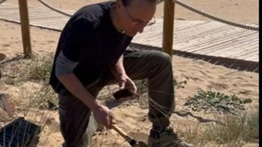 Las especies supervivientes de las dunas Torrevieja