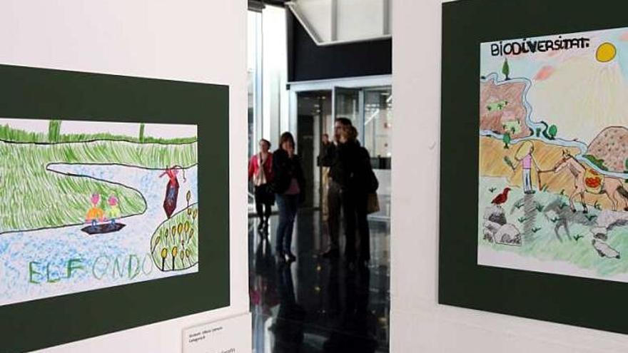 En la exposición se muestran 63 obras de los concursos escolares del Año Darwin