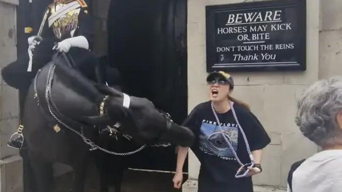 Un caballo de la guardia real muerde a una turista en Londres