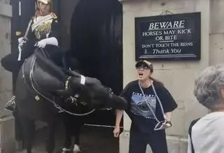 El brutal mordisco de un caballo de la Guardia Real de Londres a una turista: la mujer se desmayó