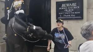 Un caballo de la guardia real muerde a una turista en Londres
