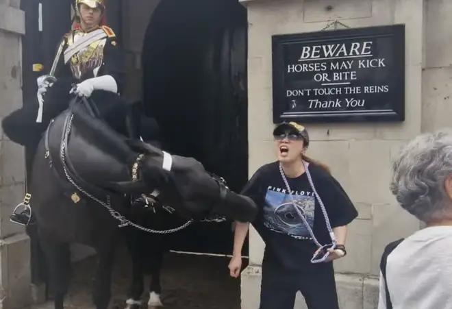 Un caballo de la guardia real muerde a una turista en Londres
