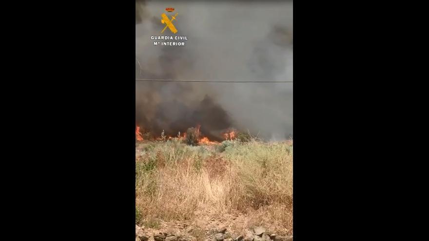 Efectivos de la Guardia Civil siguen trabajando ante el avance de las llamas en la N-II entre Ateca y Terrer.